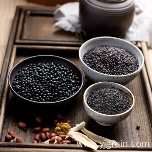 Black sesame black bean walnut powder